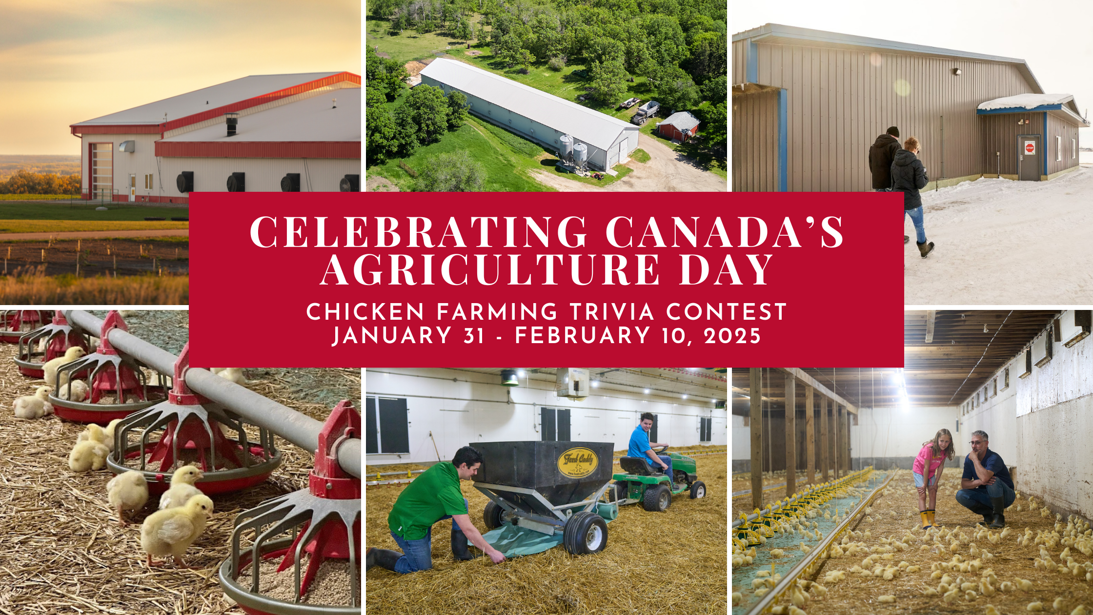 Celebrating Canada’s Agriculture Day — Chicken Farming Trivia Contest