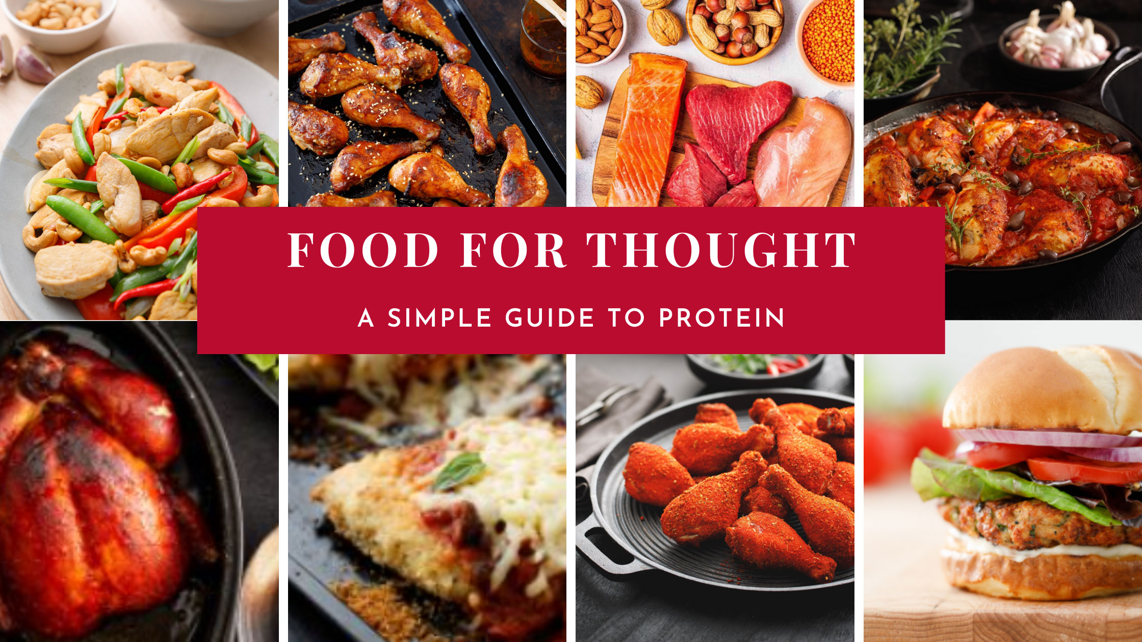 Food for Thought: A Simple Guide to Protein