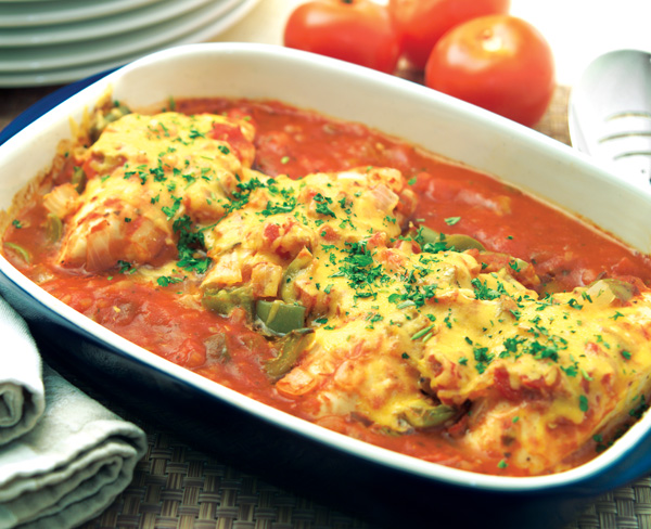 CHICKEN SALSA