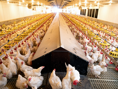 On Farm Programs