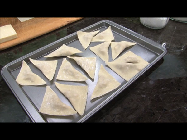 CHICKEN WONTONS