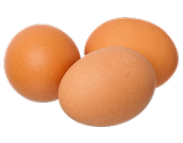 HATCHING EGG FARM